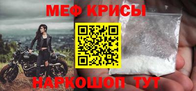 стаф Кингисепп