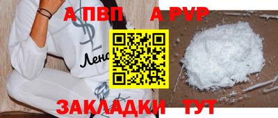 стаф Кингисепп