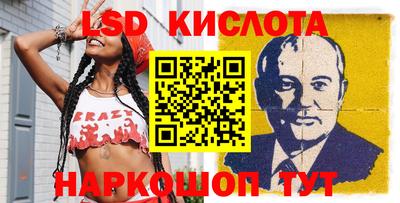 стаф Кингисепп