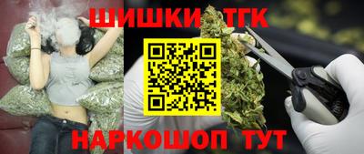 стаф Кингисепп