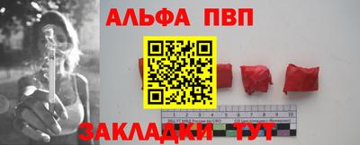 стаф Кингисепп
