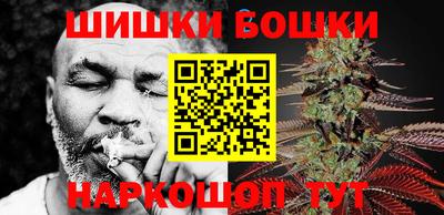стаф Кингисепп