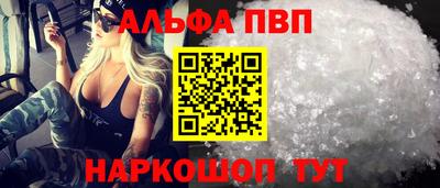 стаф Кингисепп