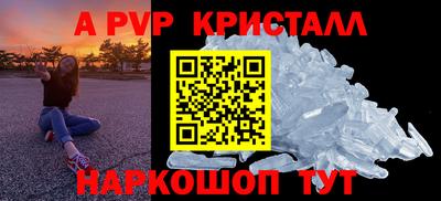 стаф Кингисепп