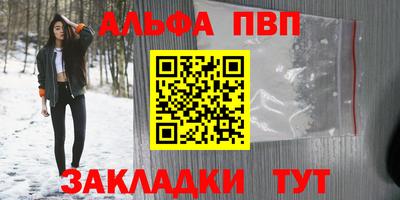 стаф Кингисепп