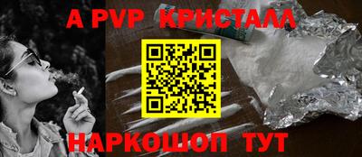 стаф Кингисепп