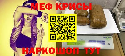 стаф Кингисепп