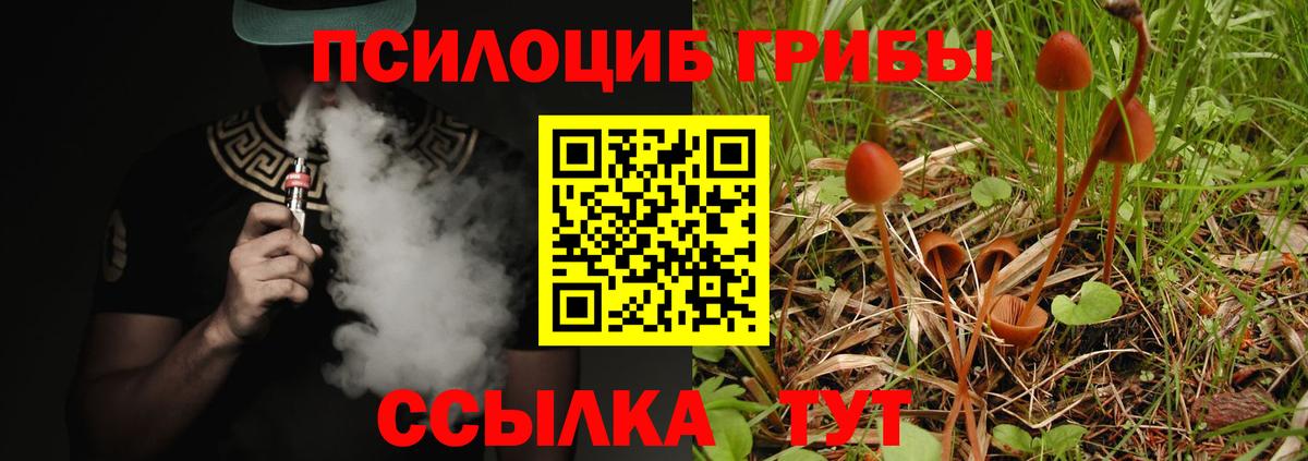 Псилоцибиновые грибы Psilocybine cubensis Коряжма