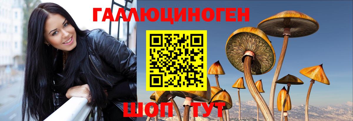 Псилоцибиновые грибы мицелий  Вход с VPN  Коряжма 