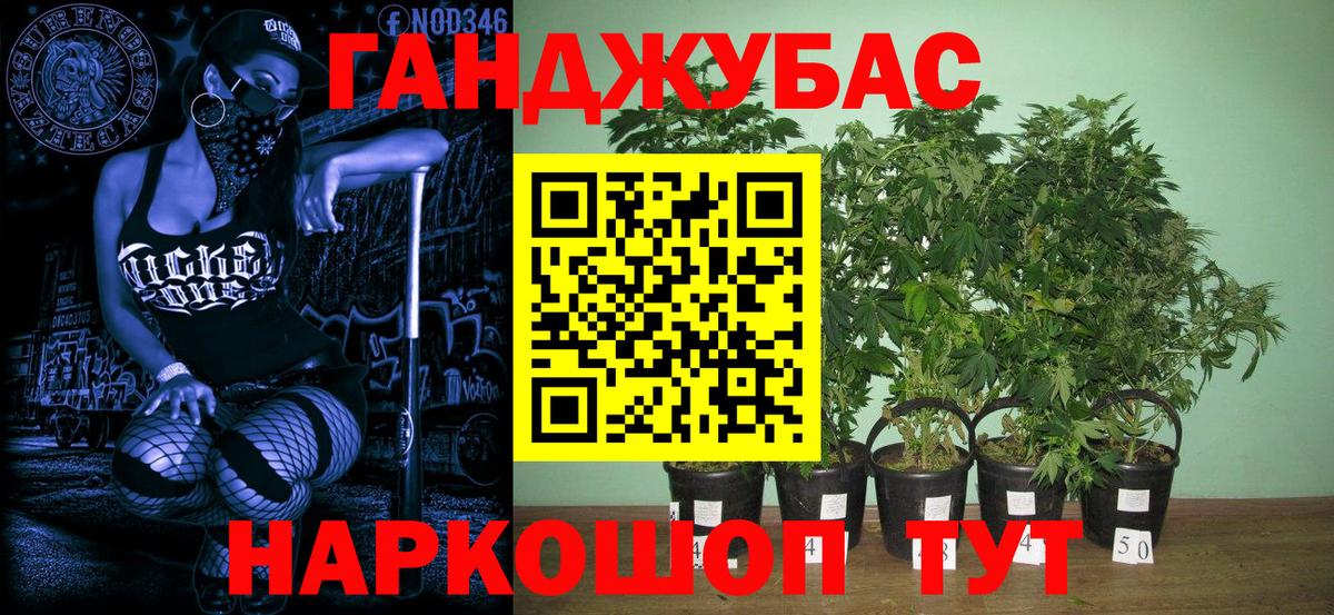 Конопля White Widow  Каннабис White Widow  Бошки марихуана семена  Бошки марихуана LSD WEED  Вход с VPN  Коряжма 